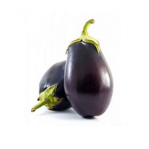 Fresh Brinjal