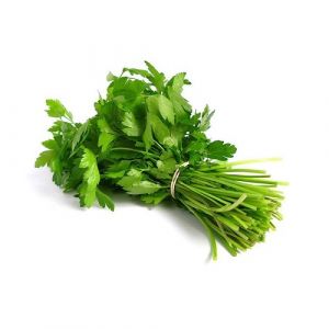 Fresh Coriander