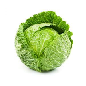 Fresh Cabbage