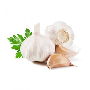 Fresh Garlic